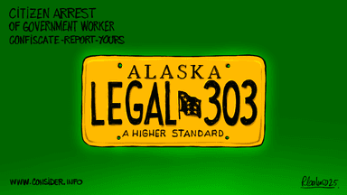 Alaska Supreme Court's decision to seize a $92,000 Cessna